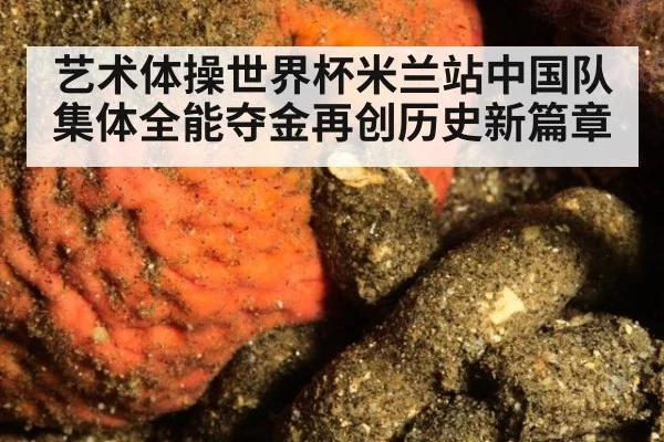 艺术体操世界杯米兰站中国队集体全能夺金再创历史新篇章